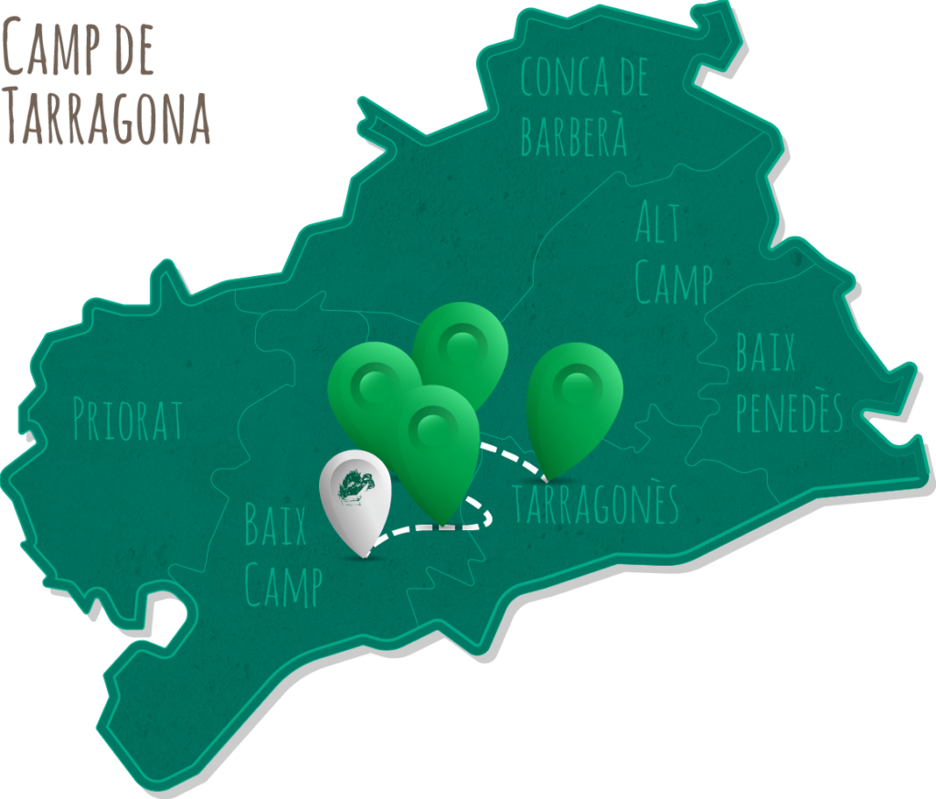 mapa_repartiment_Dijous